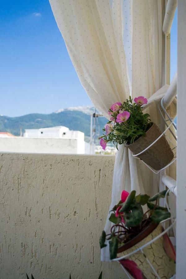 Inspiration Guestroom With Amazing Roof Garden Афіни Екстер'єр фото
